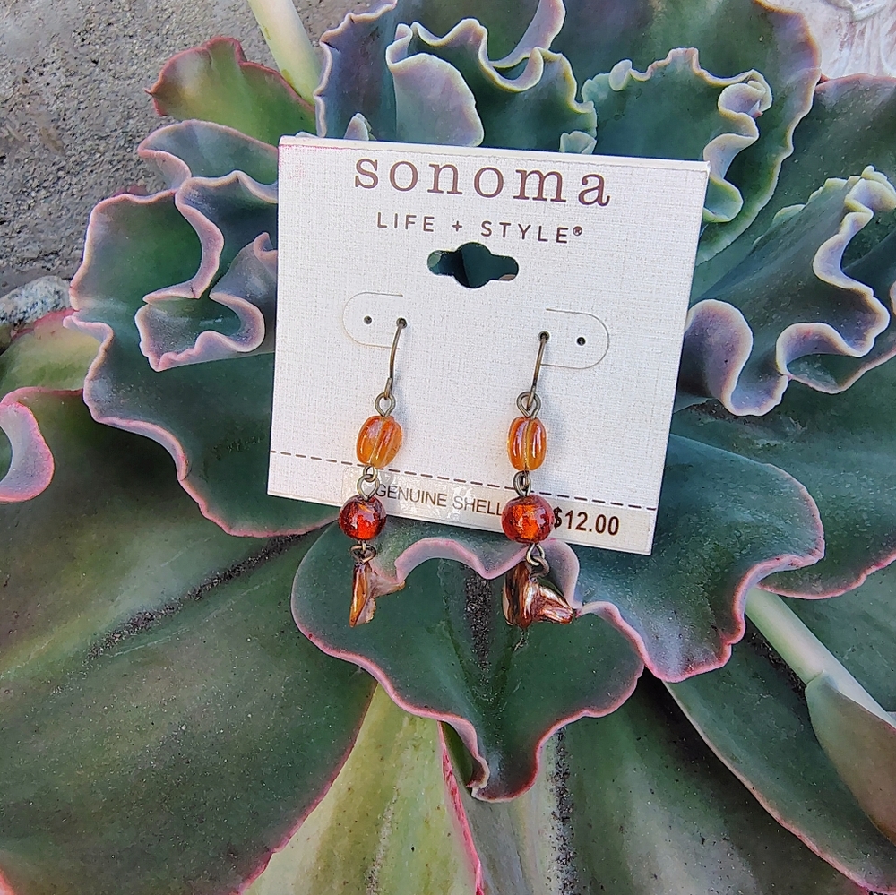 NWT Sonoma Life + Style Genuine Shell Earrings Amber Shell Dangle Earrings